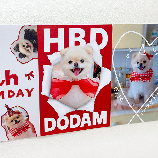 강아지 생일파티 고양이 생일상 포스터 굿즈 반려동물 파티용품 꼬리의유혹, 레드