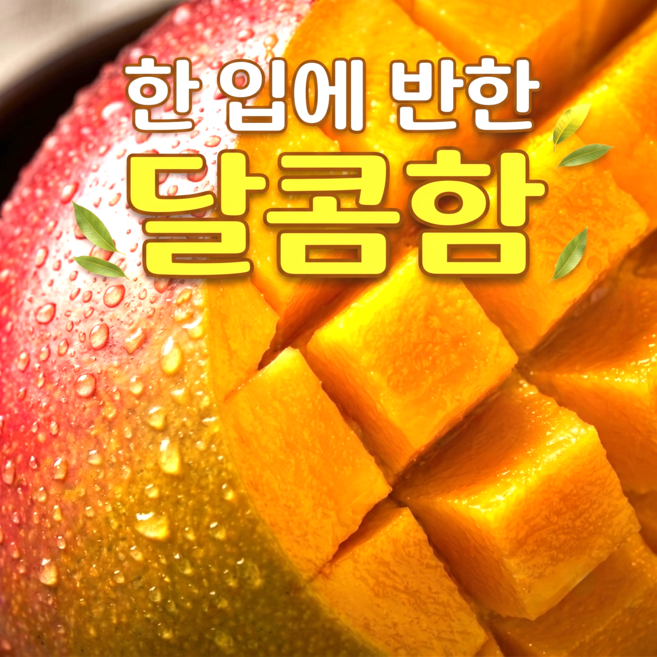 입안가득 달콤한 산지직송 특품 애플망고, 1박스, 1kg(3-4과)