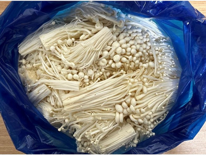 백광농장 국내산 팽이버섯 벌크 2kg, 1개