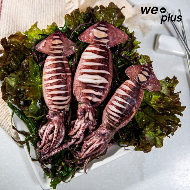 원양 선동 급냉 통찜 오징어, 6개, 500g