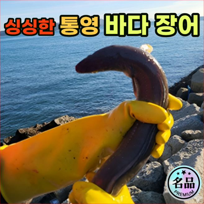 [재구매율1위] 쫄깃탱글 통영직송 손질 바다장어, 1개, 3kg