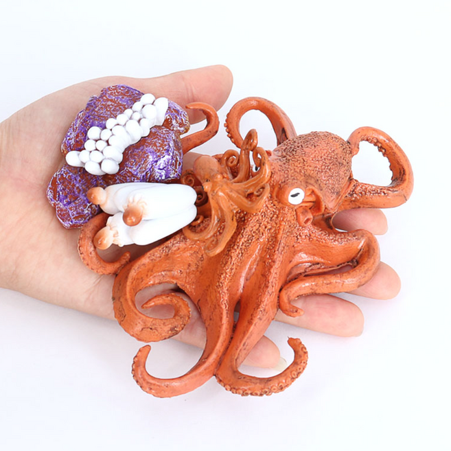 제트피규어 문어 성장과정 성장 한살이 피규어 동물 모형 장난감, 1개