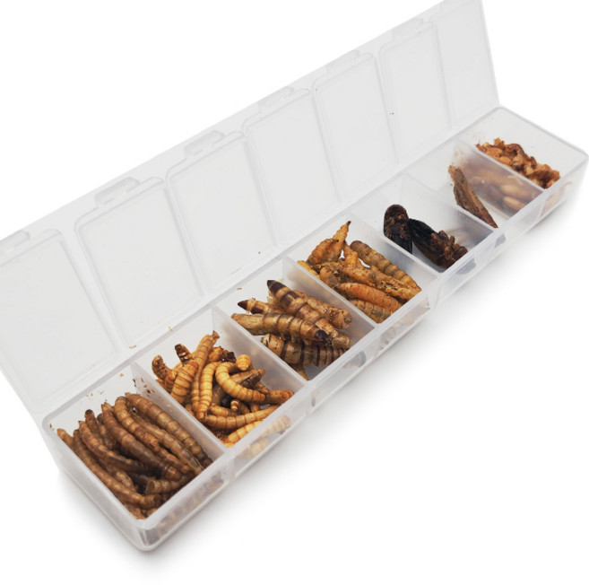 곤충7종 햄스터 고슴도치 간식, 20g, 1개, 20g