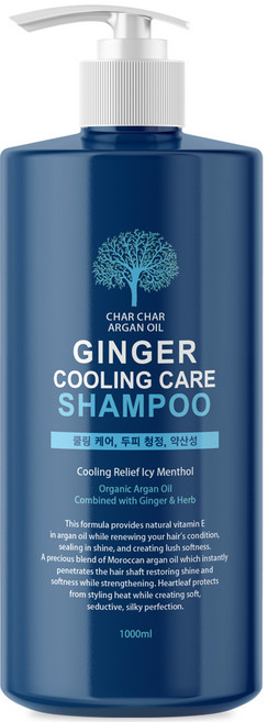 샤샤 아르간 오일 진저 쿨링 케어 샴푸, 1L, 1개