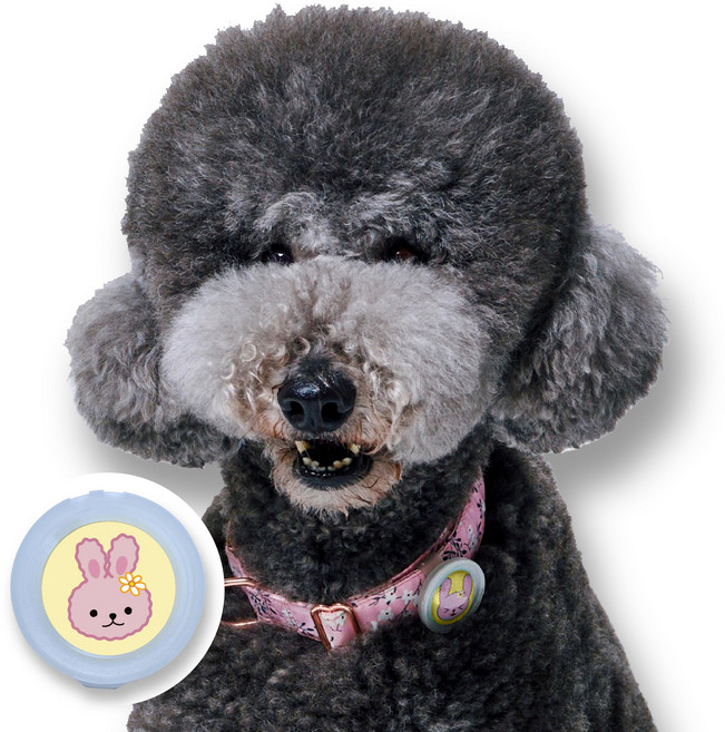 강아지 진드기 퇴치 산책 클립, 1. 야광클립 1개 (래빗), 래빗, 1개, 3ml