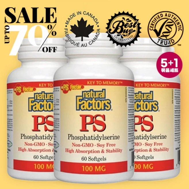네추럴팩터스 PS 포스파티디셀린 100mg x 60정 5+1 뇌의 신경세포 집중력 학습 어휘 기억력 노화 인지 Natural Factors PS Phosphatidylserine, 3개 - 쿠팡