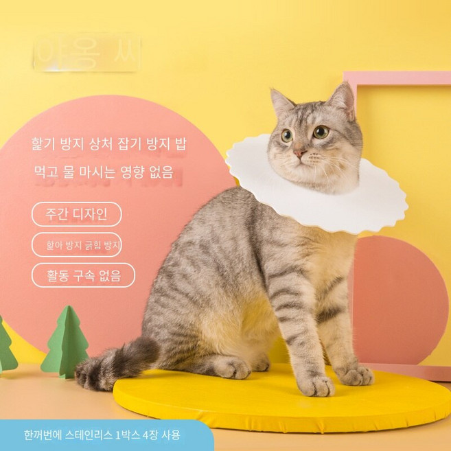 고양이 방수 일회용 화이트 넥카라 1세트 4매, L 코드 [1 상자 4 개], 1개