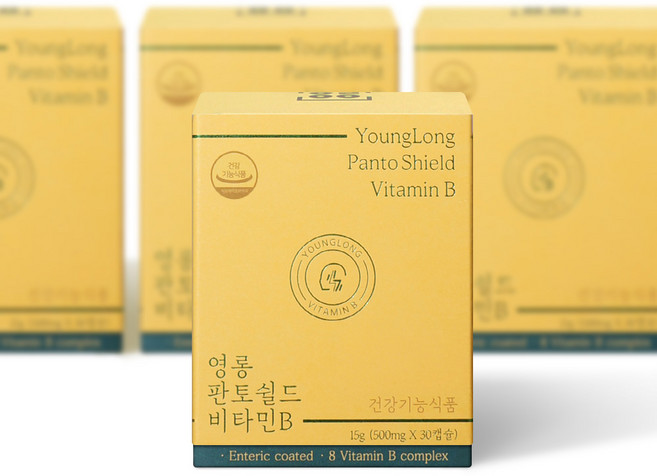 영롱 판토쉴드 비타민B 3+1, 4개, 120정