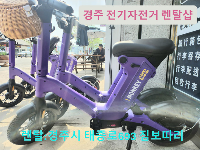 [경주터미널] 전기자전거대여점-2시간렌탈, 2시간대여, 티타늄