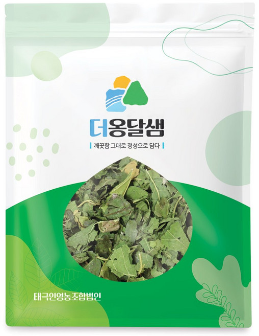 더옹달샘 국산 뽕나무 상엽 뽕잎 500g, 1개