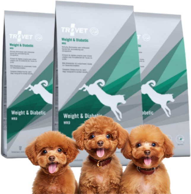 강아지 로우펫 다이어트 비만 당뇨 사료, 당뇨병 관리, 3kg, 2개