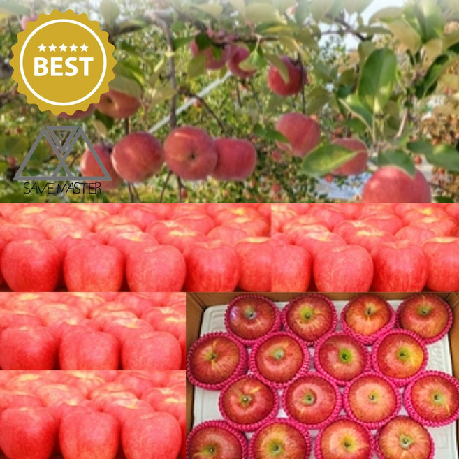 세이브마스터 추풍령 영동 가정용 부사사과 소과 5kg 5키로 가정용부사 부사사과 흠집 쥬스용 주스용 사과 못난이 알뜰형, 1개