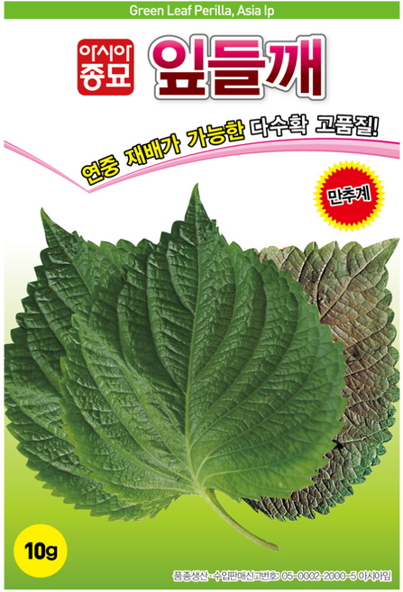 [주주씨앗] 깻잎 씨앗 10g / 연중재배 가능한 잎들깨 종자 / 봄 파종 채소씨앗 씨앗몰