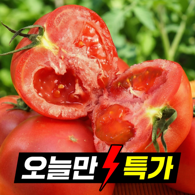 [24시간초특가] 딱100박스만 과즙팡팡 새콤달콤 완숙토마토, 1박스, 3kg