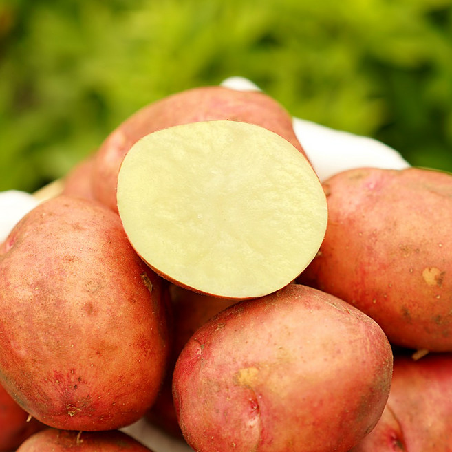 [선별엄선]세상모든농부 26년 햇 카스테라 홍감자 자색, 1박스, 3kg 중(통구이용)