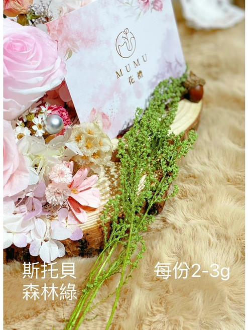 大地農園 斯托貝 日本進口永生不凋花, 森林綠(2-3g)