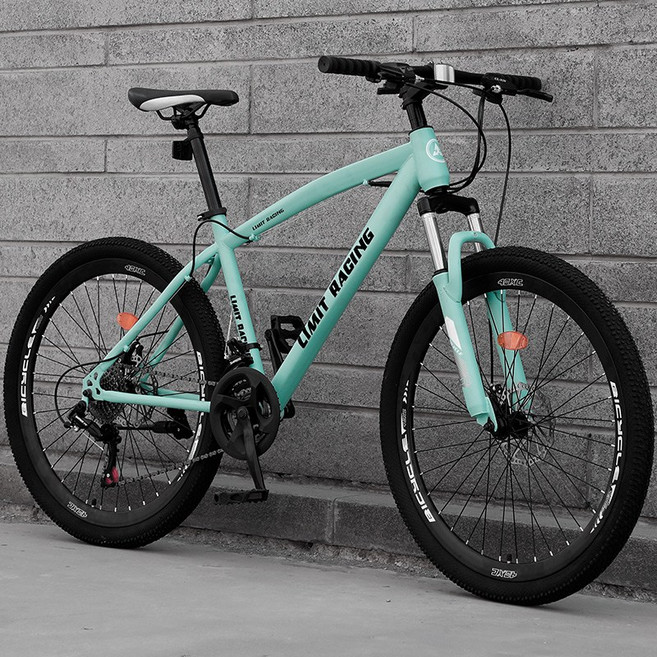 트랙자전거 싸이클 여행용 레이싱 등하교 싱글