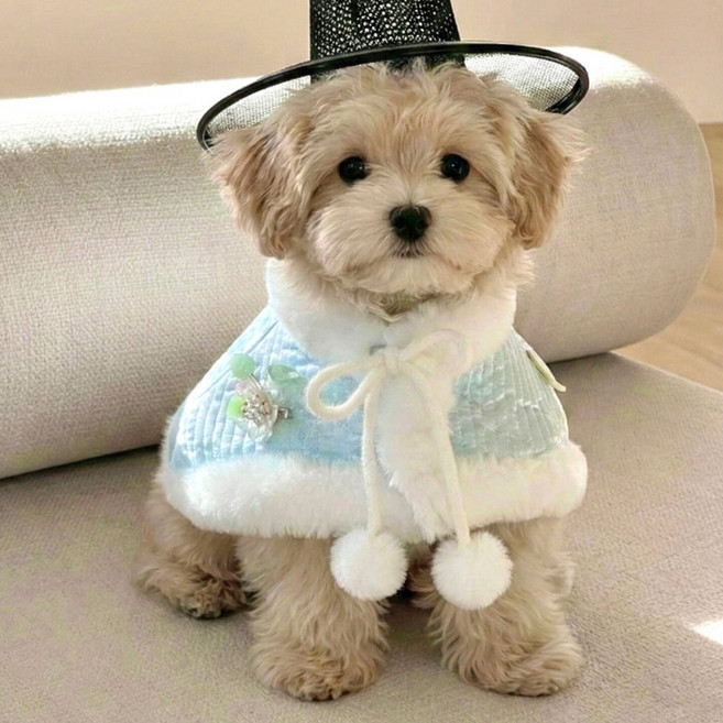 강아지한복 자개 플라워 밍크망토 강아지배자