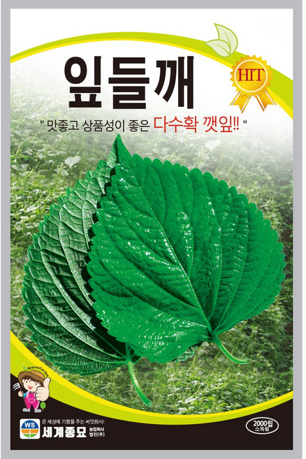 세계종묘 잎들깨 씨앗 2000립, 1개