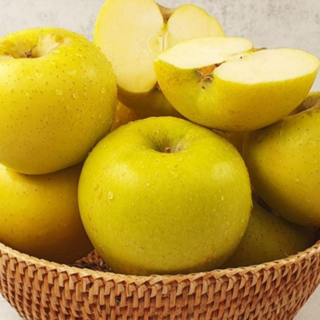 ( 황금 사과 ) 경상북도 고당도 시나노골드 사과 황금사과, 1개, 5kg 특대과