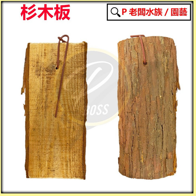 P老闆 杉木板 蘭花上板 鹿角蕨 著根板植 空氣鳳梨 蕨類, 1個