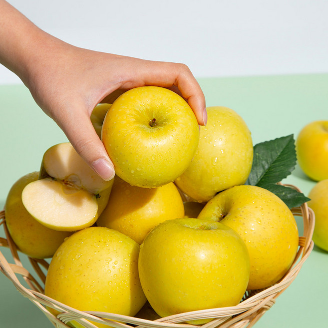 [미식한가] 새콤달콤 황금사과 시나노골드 (정품) 2kg / 과수선택, 시나노 골드(정품) 2kg(14-16과), 1개