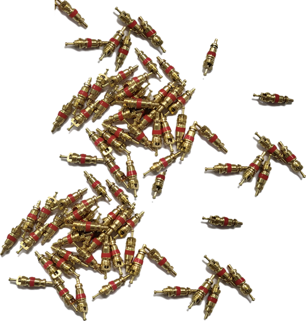 타이어 밸브 에어무시, 100개