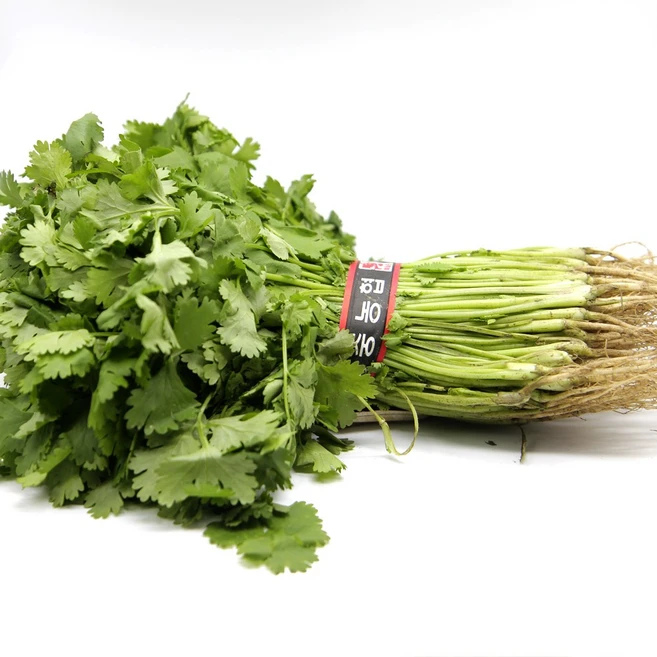 국내산 특품 고수 1단 샹차이 향채 가니쉬 음료베이스 베이킹재료 칵테일, 국내산 고수 1단, 1개 - 쿠팡