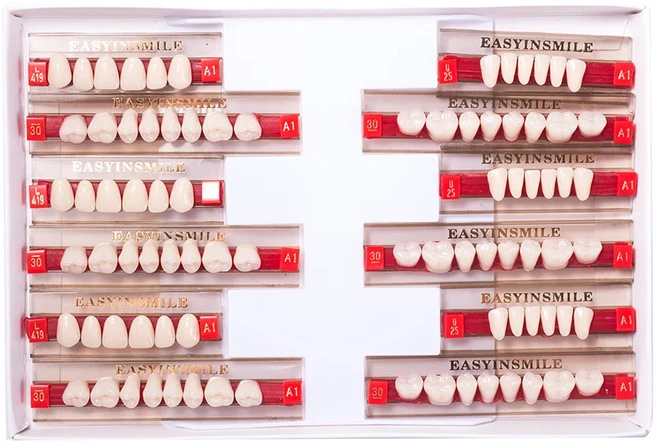 16/12 세트/박스 치과 틀니 치아 상부 전치 하부 후치 Dentier 합성 폴리머 교육 모델, A1 Full set S, 1개