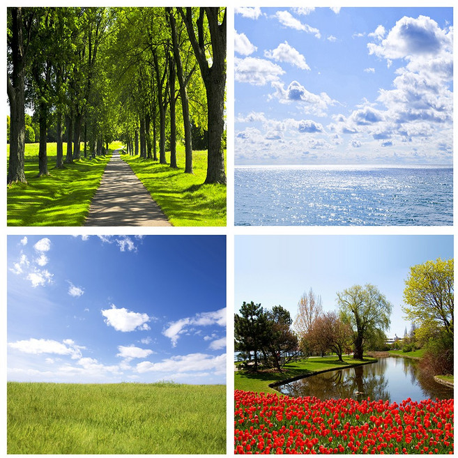 노엘리안 사진풍경B 맞춤제작 실사 롤스크린