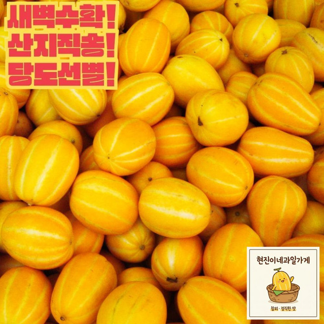 성주 꿀 참외 제철과일 산지직송 당도선별 고당도 가정용참외, 1박스, 1kg혼합과
