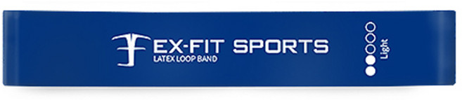 엑피트 라텍스 루프밴드 운동시설 대량납품등급, 2단계 블루, 1개