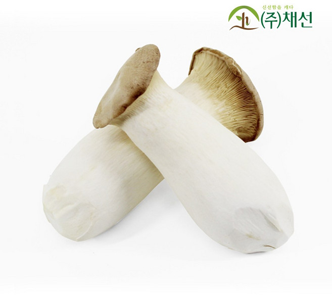 국내산 무농약 새송이버섯 2kg, 1개