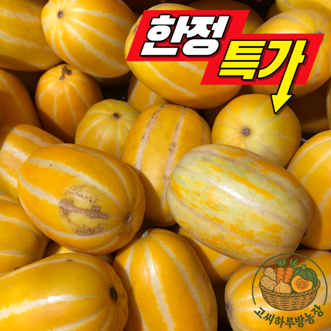 시즌특가 고당도 성주꿀참외 가정용 못난이, 1박스, 못난이 랜덤과 10kg(18-72과 내외)