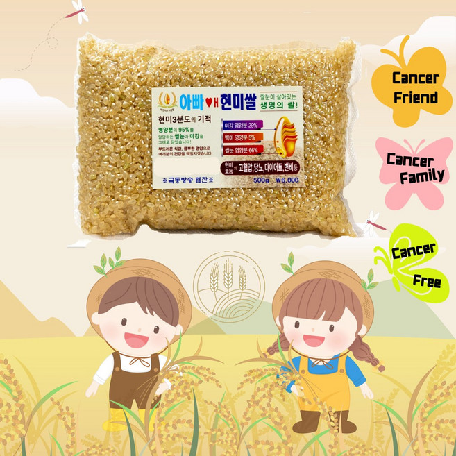 현미 100프로 아빠애현미쌀(진공포장), 1개, 500g