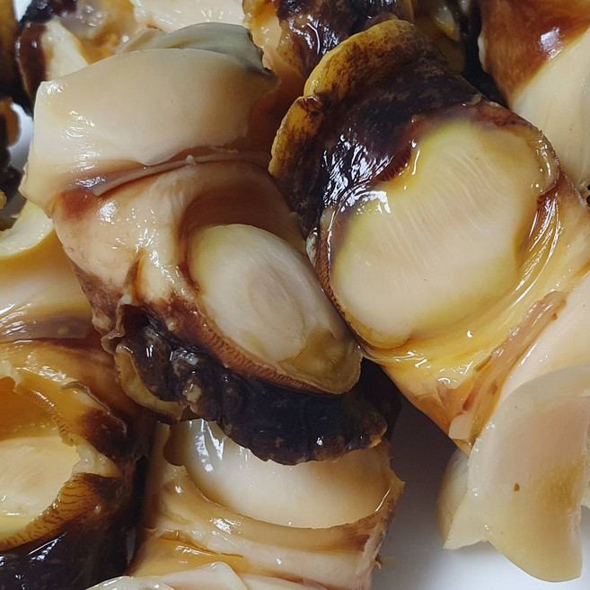 남해 활 자연산 뿔소라 국내산 해녀 직접재취 산지직송, 1박스, 자연산 뿔소라 1kg