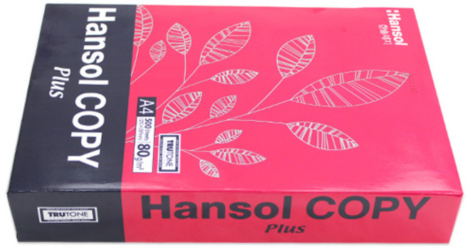 한솔 복사 용지 A4 500매 80g, 2개