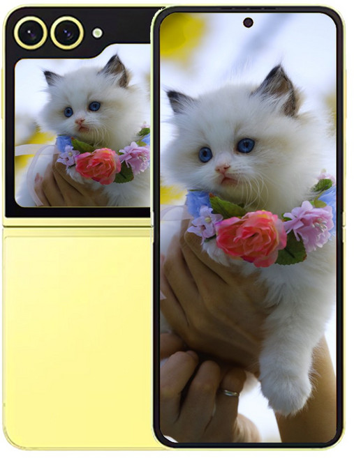 삼성전자 갤럭시 Z 플립6, 256GB