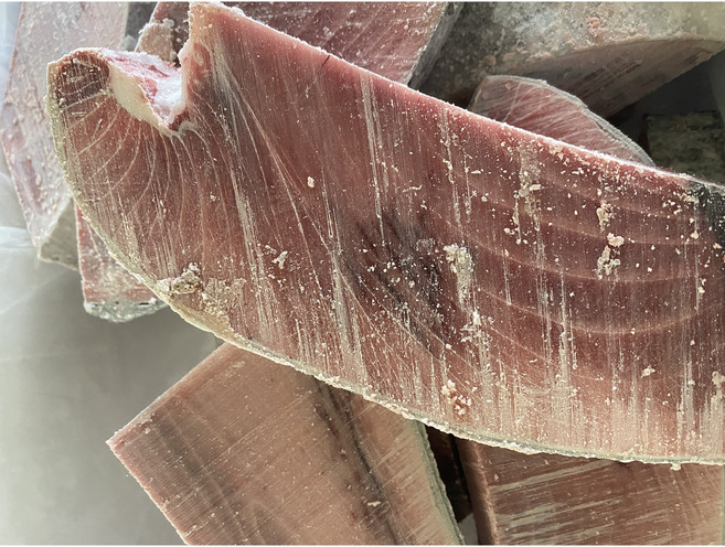 눈다랑어 대절 50상 혈포함, 1개, 2kg