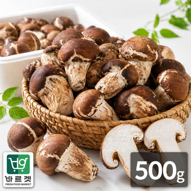 전라남도 나주 참바른 참송이 버섯 500g 바르겟, 1개