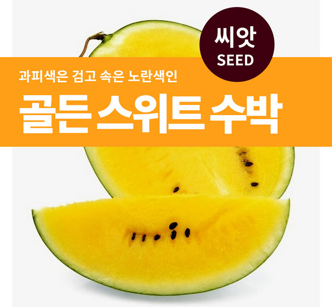 마이플랜트 골든 스위트 수박 씨앗 5립, 1개