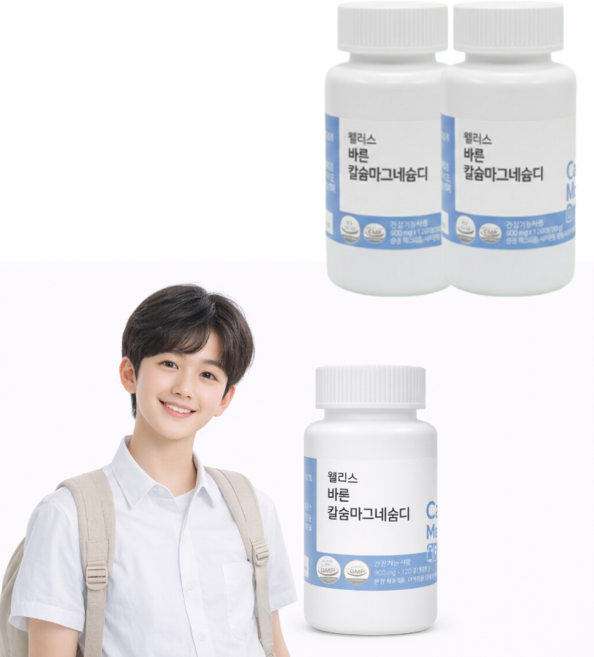 웰러스 바른 칼슘마그네슘디, 2개, 120정