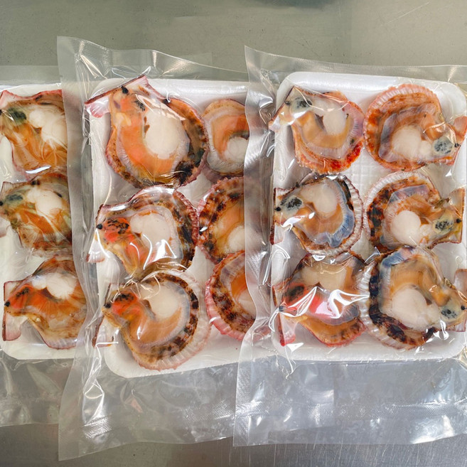 산지직송 제철석화5kg 통영석화 평일 당일출발, 1개, 비단가리비하프셀 3팩