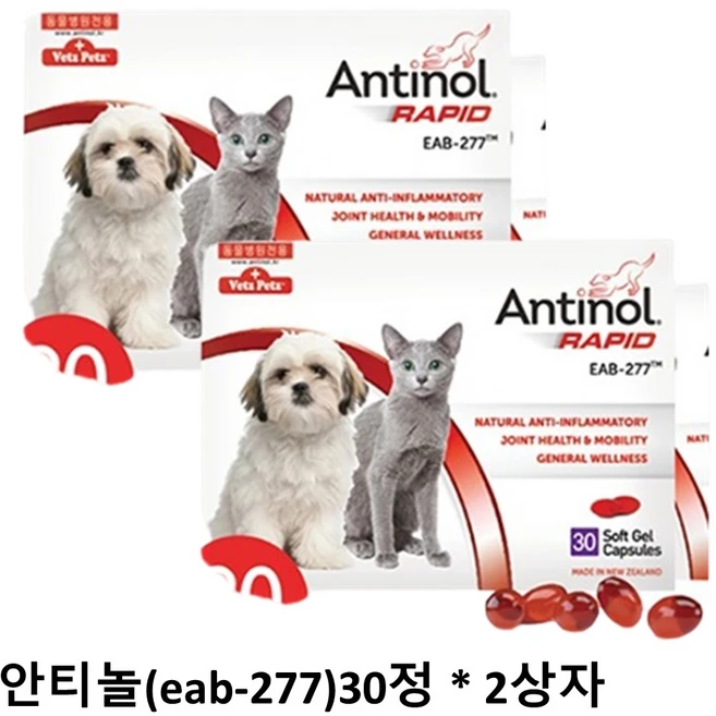 안티놀 래피드 240정, 60정, 뼈/관절강화, 1개 - 쿠팡