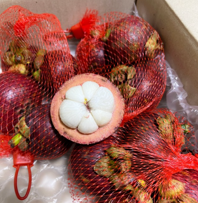 고당도 생 망고스틴 고당도 열대과일 생과 제철과일 까서 먹는 생망고스틴, 1개, 1kg(2망)