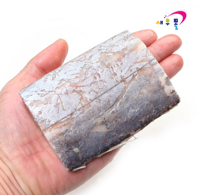 새우몰 대서양 절단갈치 1kg 살이 두툼하여 먹을게 많은 먹갈치, 1개