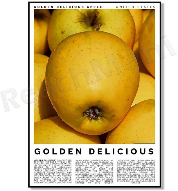 리치 아카이 과라나 수박 자보 두리안 람부탄 망고스틴 구아바 바나나 사과 과일 장식 주방 포스터, 1개, 10. 8 / C. 15x20cm Canvas