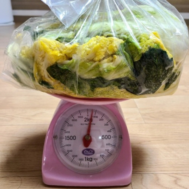 일단하자언니 절임배추, 1kg, 1개, 익일발송