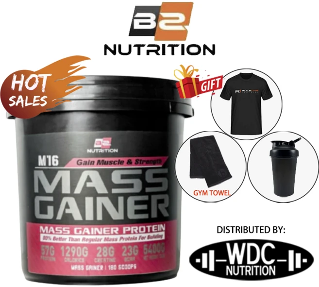 아프지말아요 BS Nutrition M16 Mass Gainer (12 lbs/5.4 kg) Susu gym Penambah Berat 아미노산 BCAA 보충제 Whey pro, 바닐라 54kg, 셰이커 - 쿠팡
