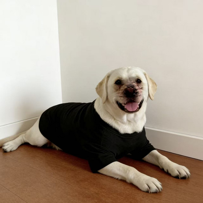 春夏季純色大狗衣服拉布拉多金毛邊牧薄款大型犬防掉毛狗衣服, 1個, 黑色